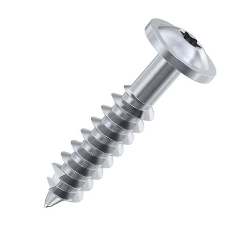 stainless button head wood screws